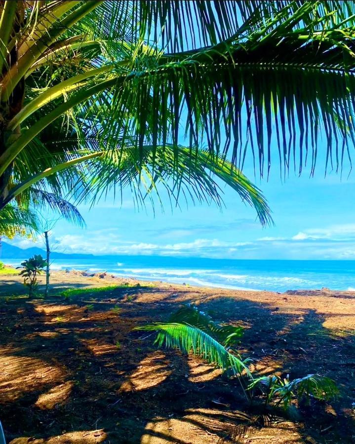 Tortuga Bay Eco Hotel Эль-Валье Экстерьер фото