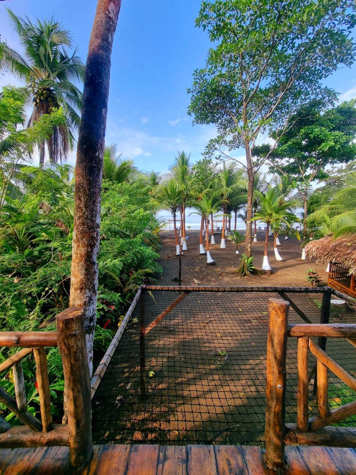 Tortuga Bay Eco Hotel Эль-Валье Номер фото