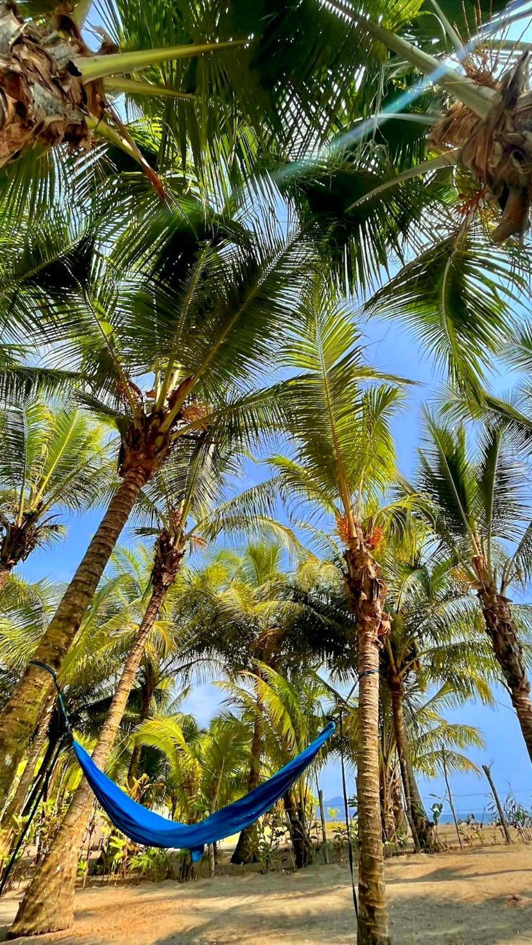 Tortuga Bay Eco Hotel Эль-Валье Экстерьер фото